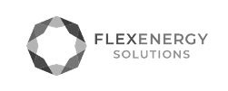 FlexEnergy