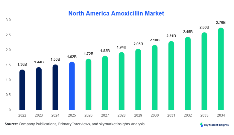 North America Amoxicillin Market Size, Share & Forecast 2034