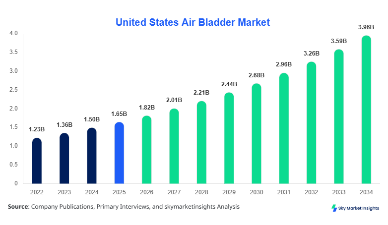 United States Air Bladder Market forecast by 2034