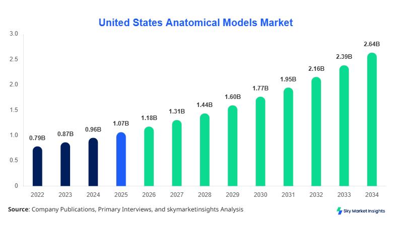United States Anatomical Models Market Growth, Share & Forecast 2034